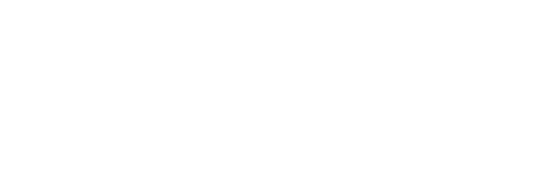 Achiezer Insurance Division